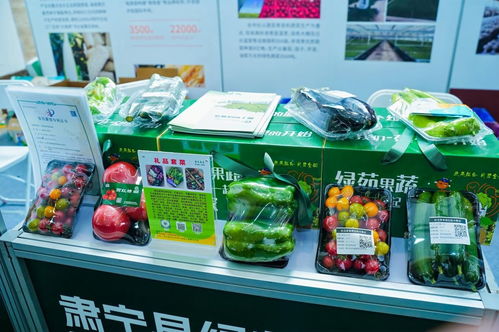 旱碱麦品牌引领京津冀农业协同新篇章——沧州农产品闪耀京城
