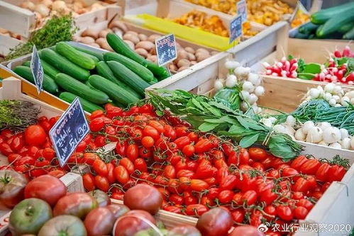 农产品B2B电商 颠覆传统模式，开启未来新篇章