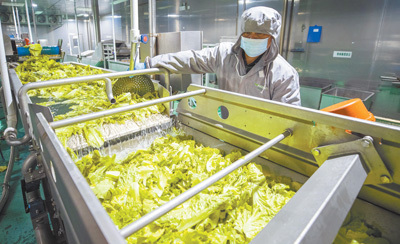 绿色消费风起，农产品迈向低碳健康新时代