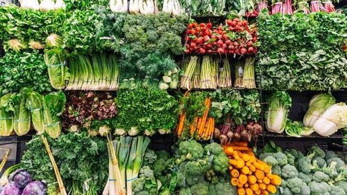 有机与非有机农产品 差异与真相揭秘