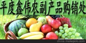 山东玉米市场价格、厂家信息与农产品代理介绍