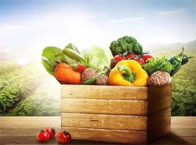 农产品冷链供应链优化之路