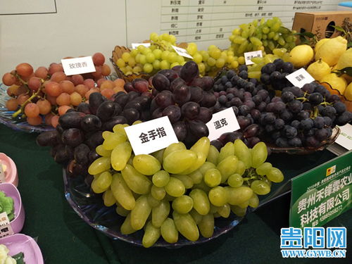 2019中国贵阳国际特色农产品交易会盛大开幕，农产品贸易迎来新机遇