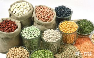 山西聚焦特色资源，拟10月确定20个独有功能农产品品牌