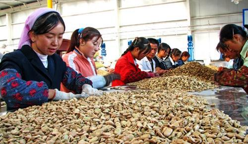 从城市返乡创业新路径 五种适合农村的农产品加工厂